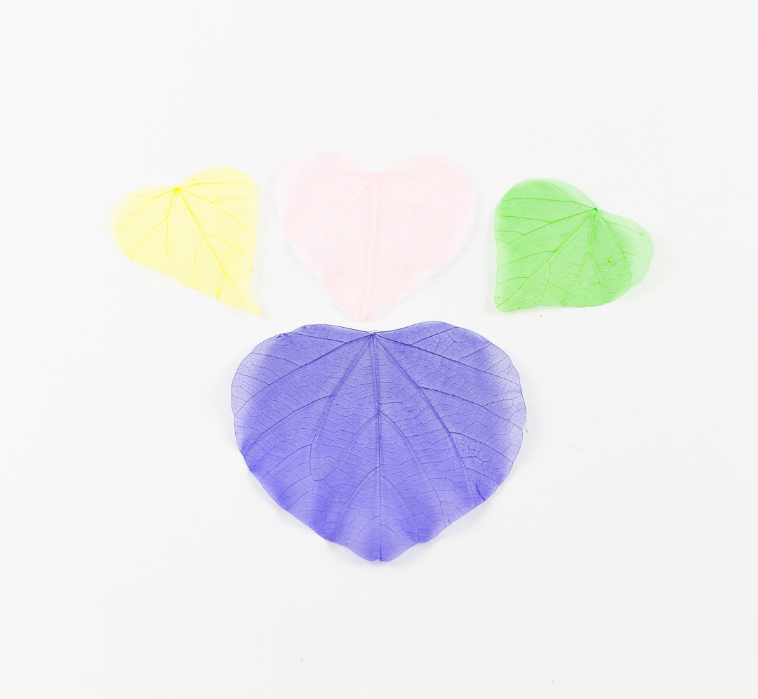 Hojas de Corazón