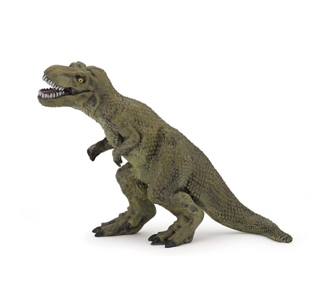 Set Dinosaurios Mini