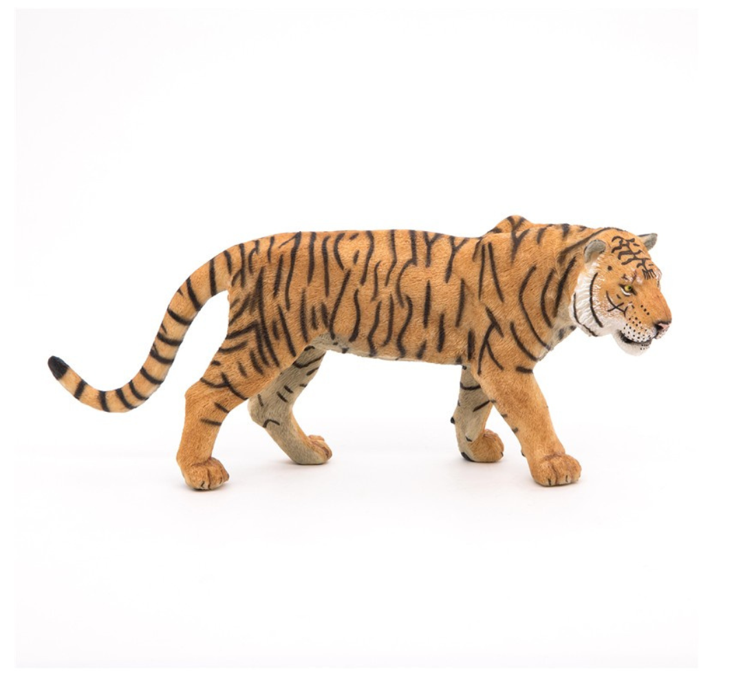 Tigre