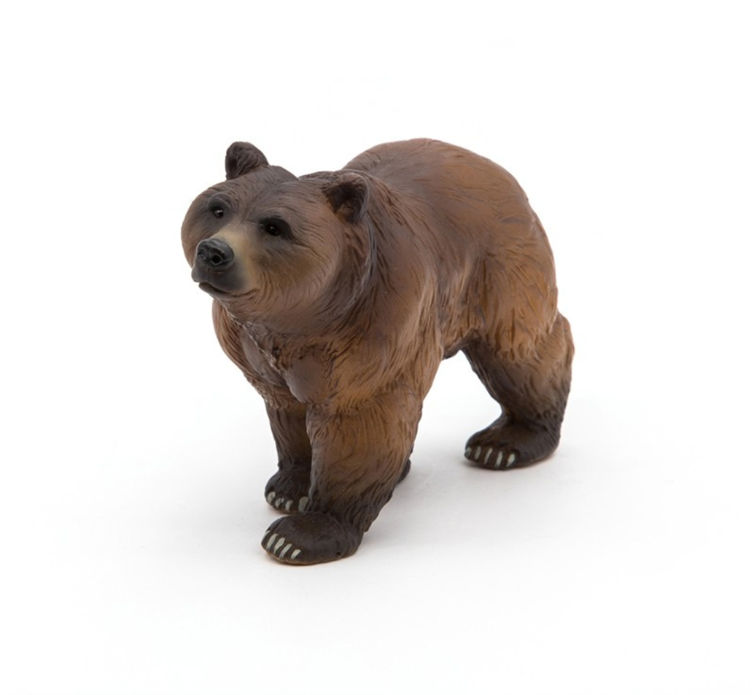 Oso de los Pirineos