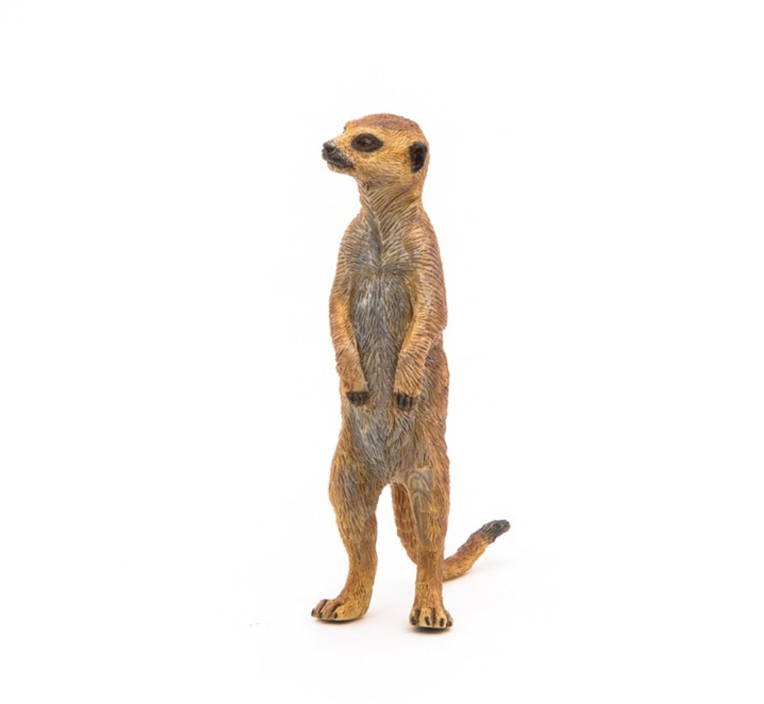 Suricata de pie - Papo