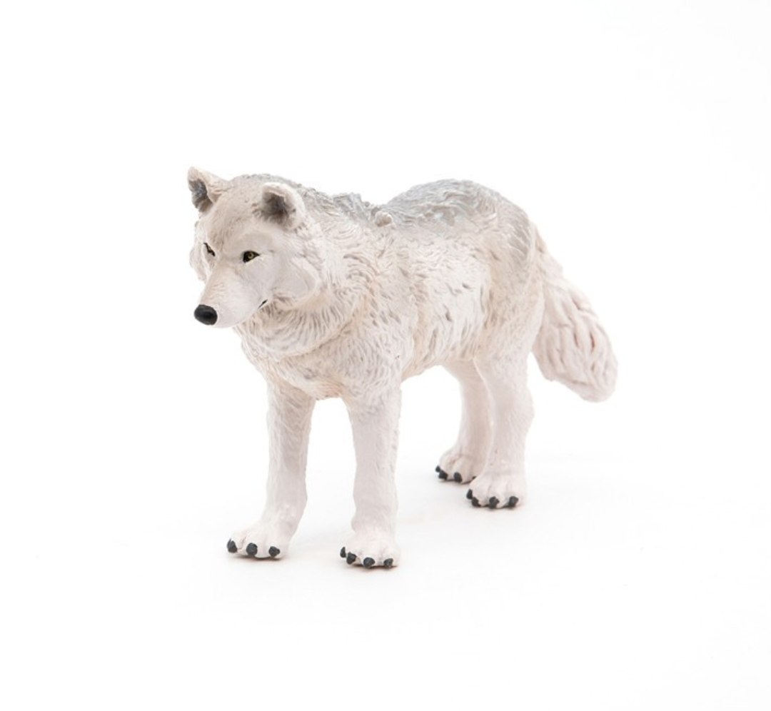 Lobo polar