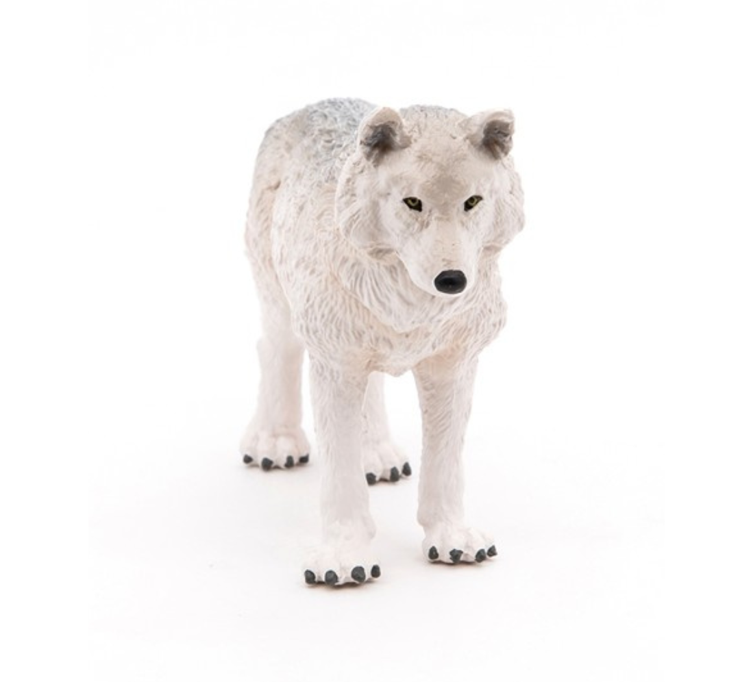 Lobo polar