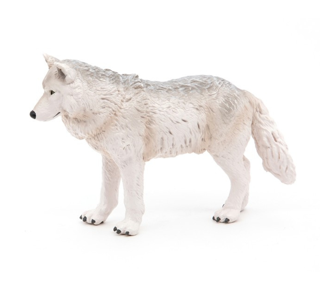 Lobo polar