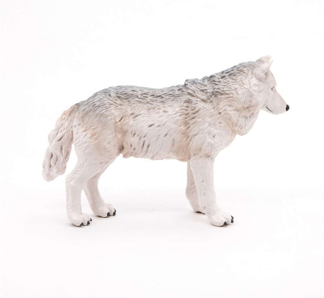 Lobo polar