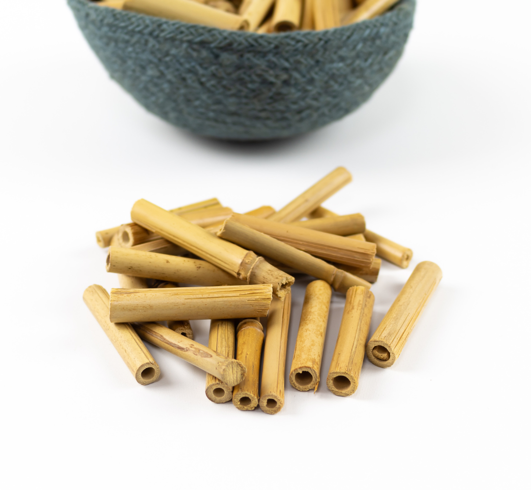 Mini cañas de bambú