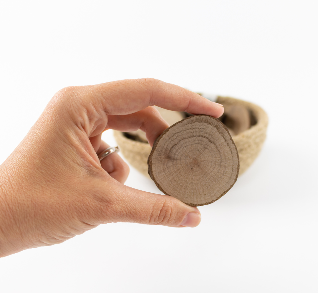 Círculos de madera medianos