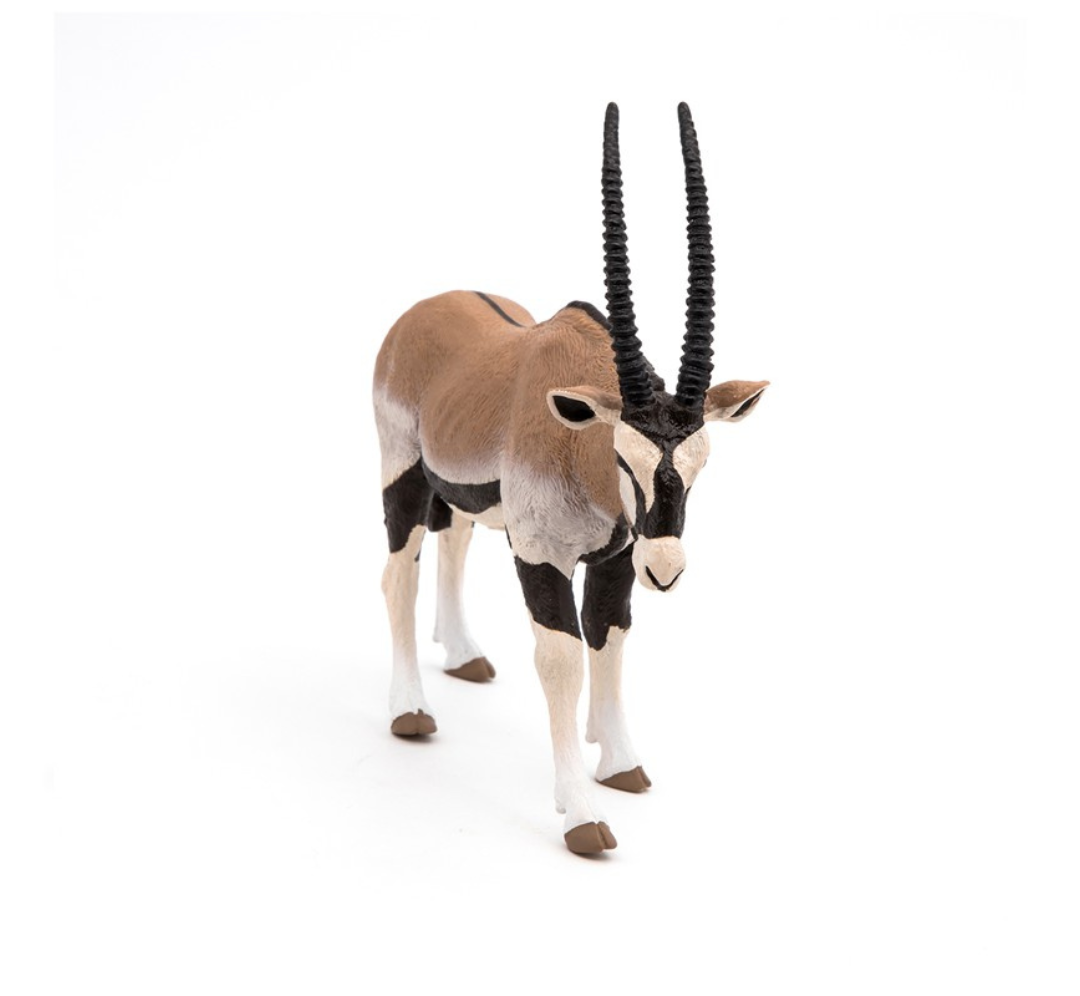 Oryx Antílope
