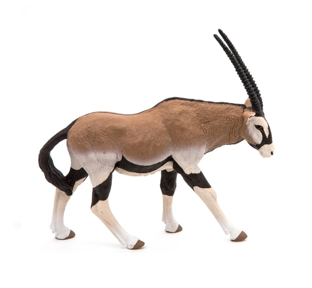 Oryx Antílope