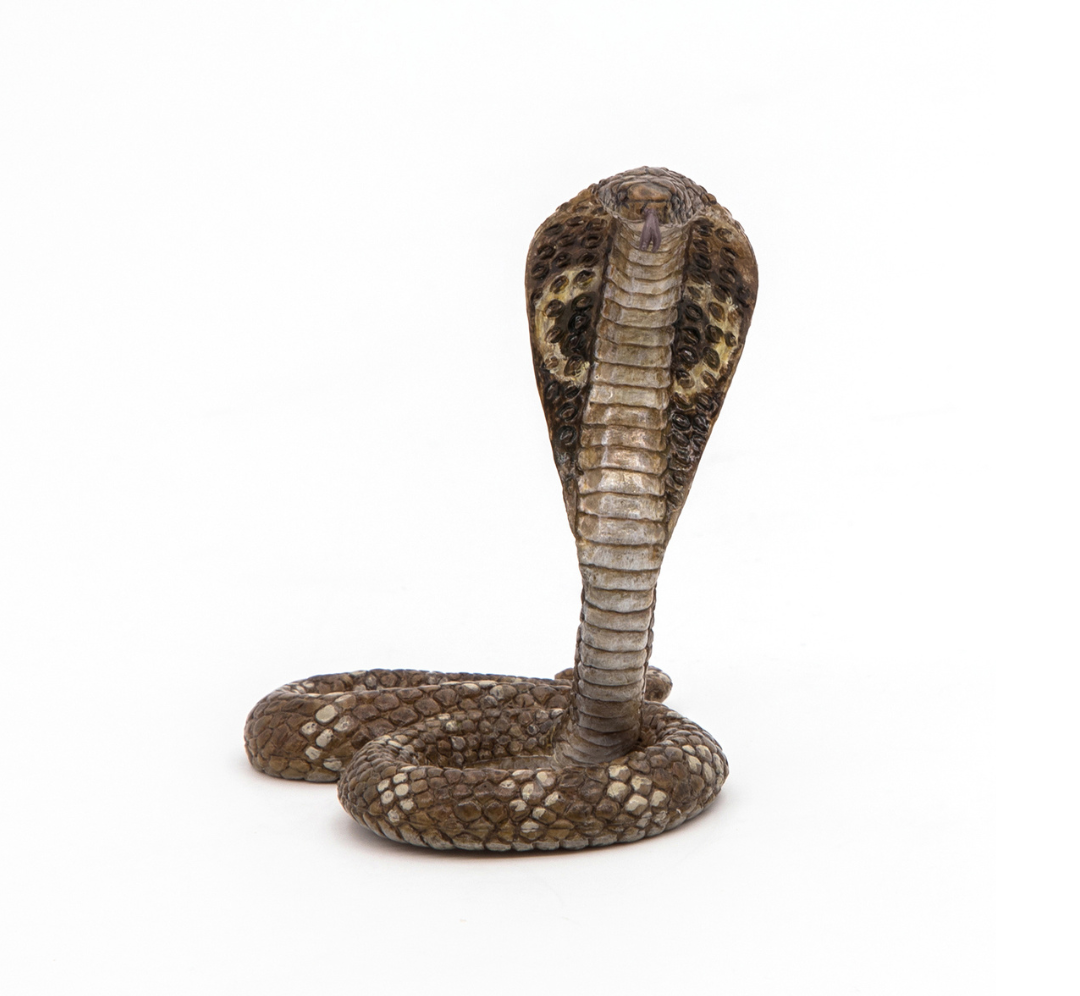 Cobra real