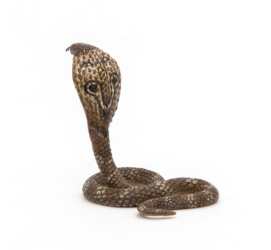 Cobra real