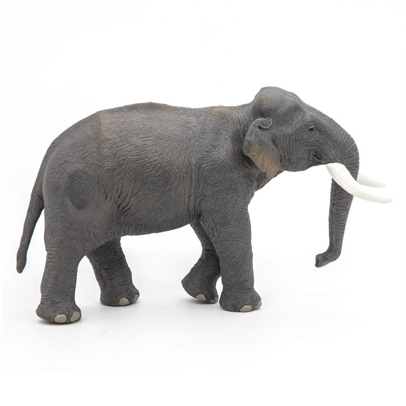 Elefante asiático