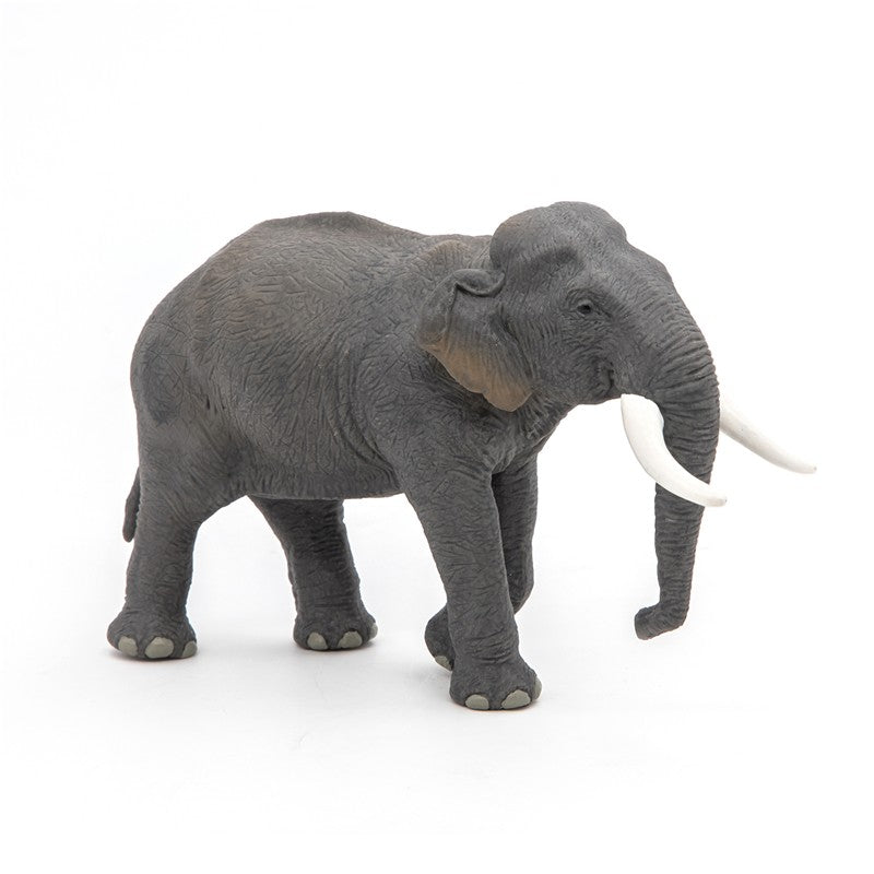 Elefante asiático