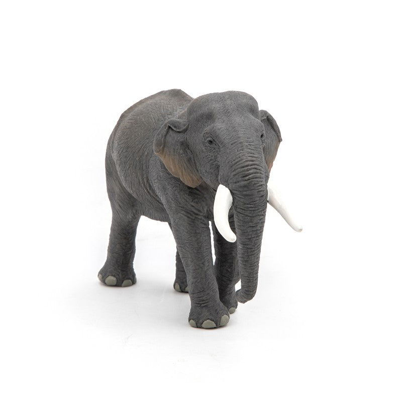 Elefante asiático
