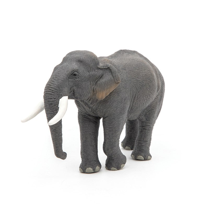 Elefante asiático