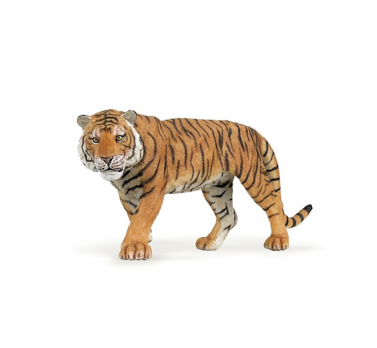 Tigre