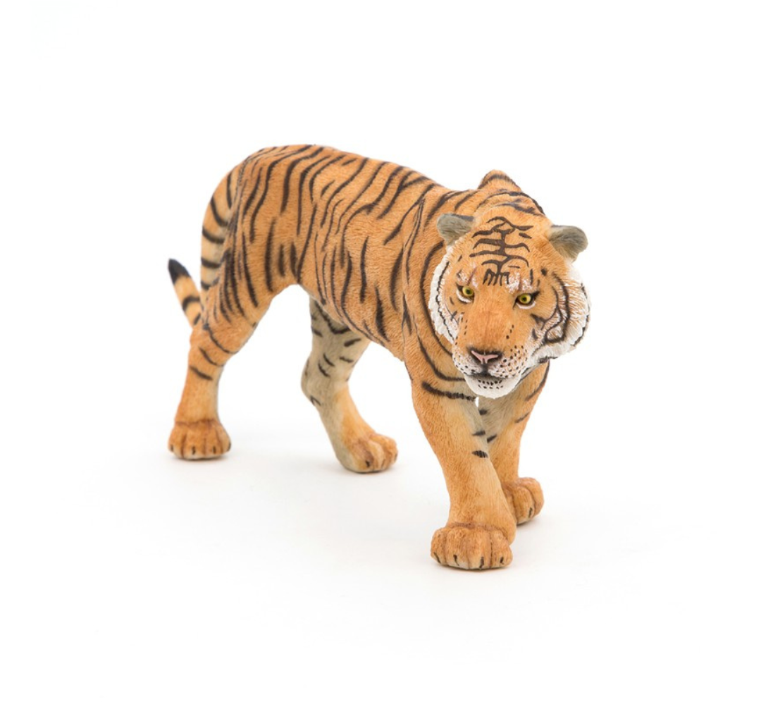 Tigre