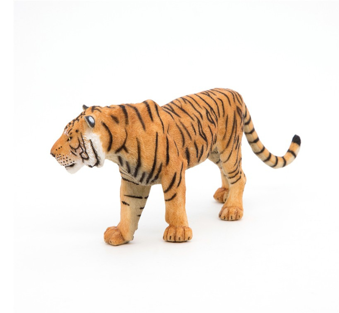 Tigre