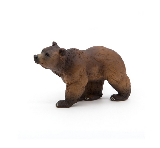 Oso de los Pirineos
