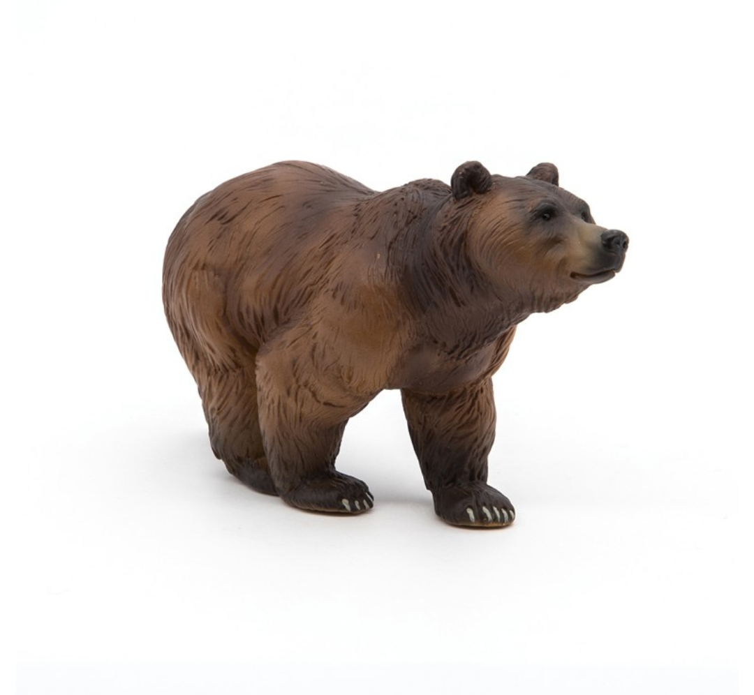 Oso de los Pirineos