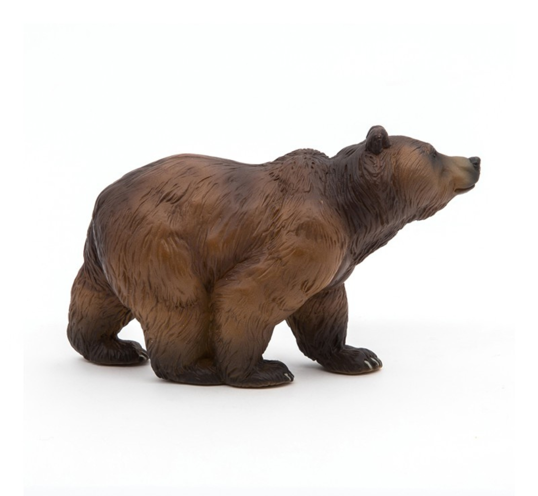 Oso de los Pirineos