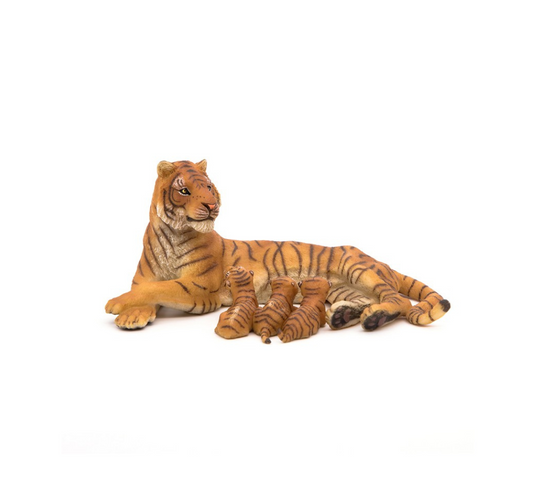 Tigre Hembra acostada con Cachorros