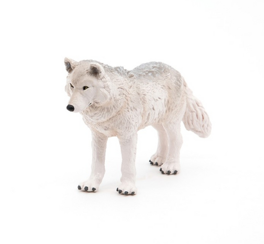 Lobo polar