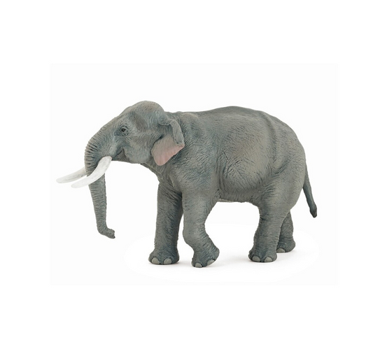Elefante asiático
