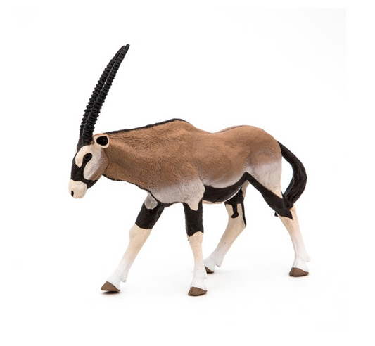 Oryx Antílope