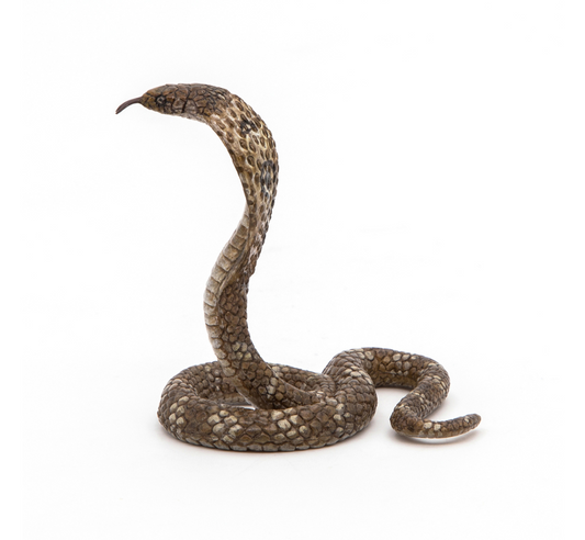 Cobra real